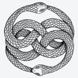 Two-snake ouroborus from Auryn, the amulet in the Never-Ending Story